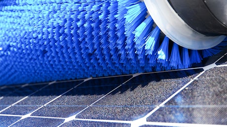Cleaning of solar collectors